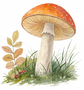 mushroom watercolour of garden