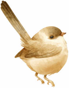 wren illustration for Blue Windmill Day Nursery baby garden