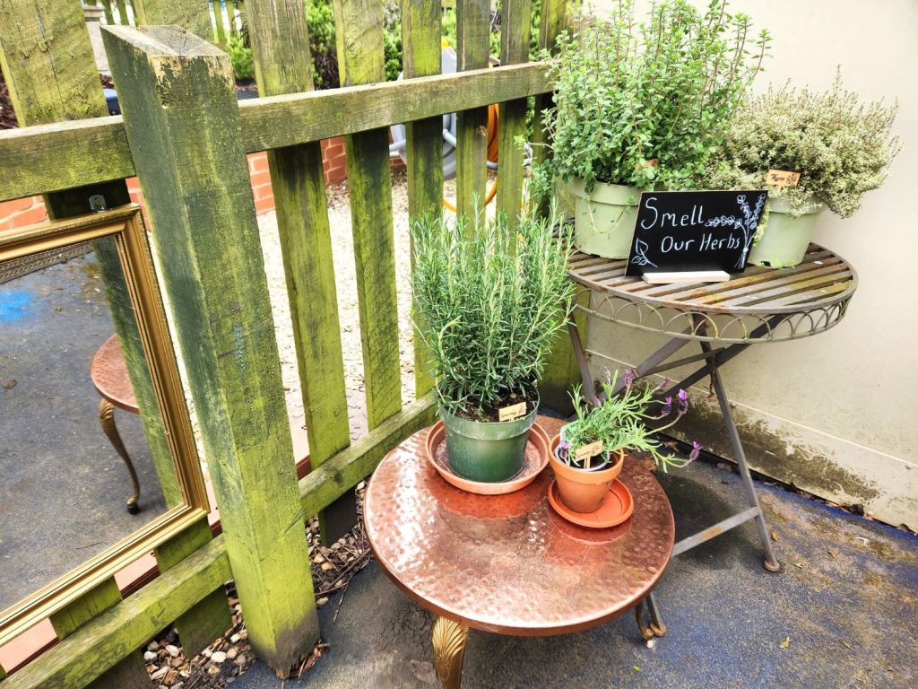 curiosity corner nursery rugby herb pots