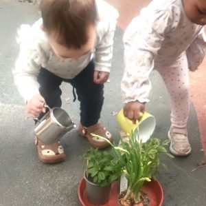Gardening with babies at Blue Windmill Nursery