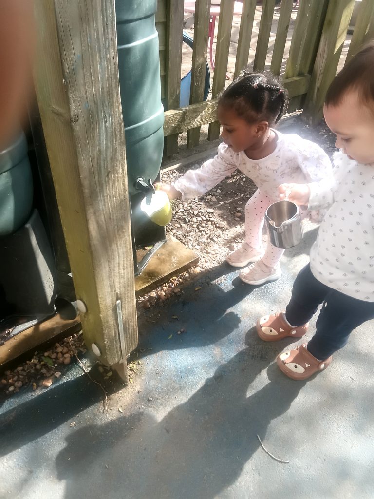 watering the plants in the garden at blue windmill nursery 2