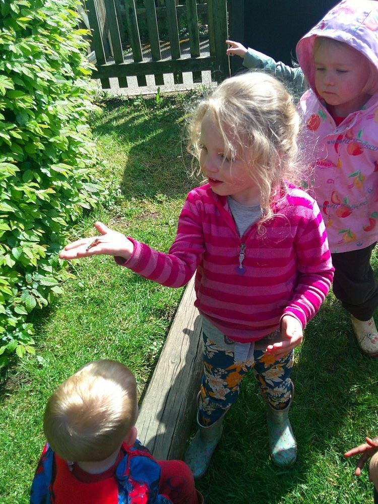 releasing butterflies at blue windmill nursery 4