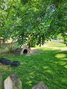 Near the duckpond den and play zones at blue windmill nursery garden in Rugby